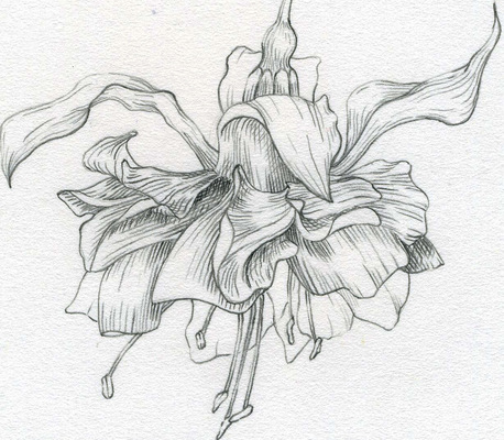 458x400 Drawing Classes Chicago