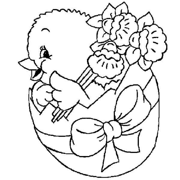 600x600 Drawing Chick Hatching Coloring Pages Best Place To Color