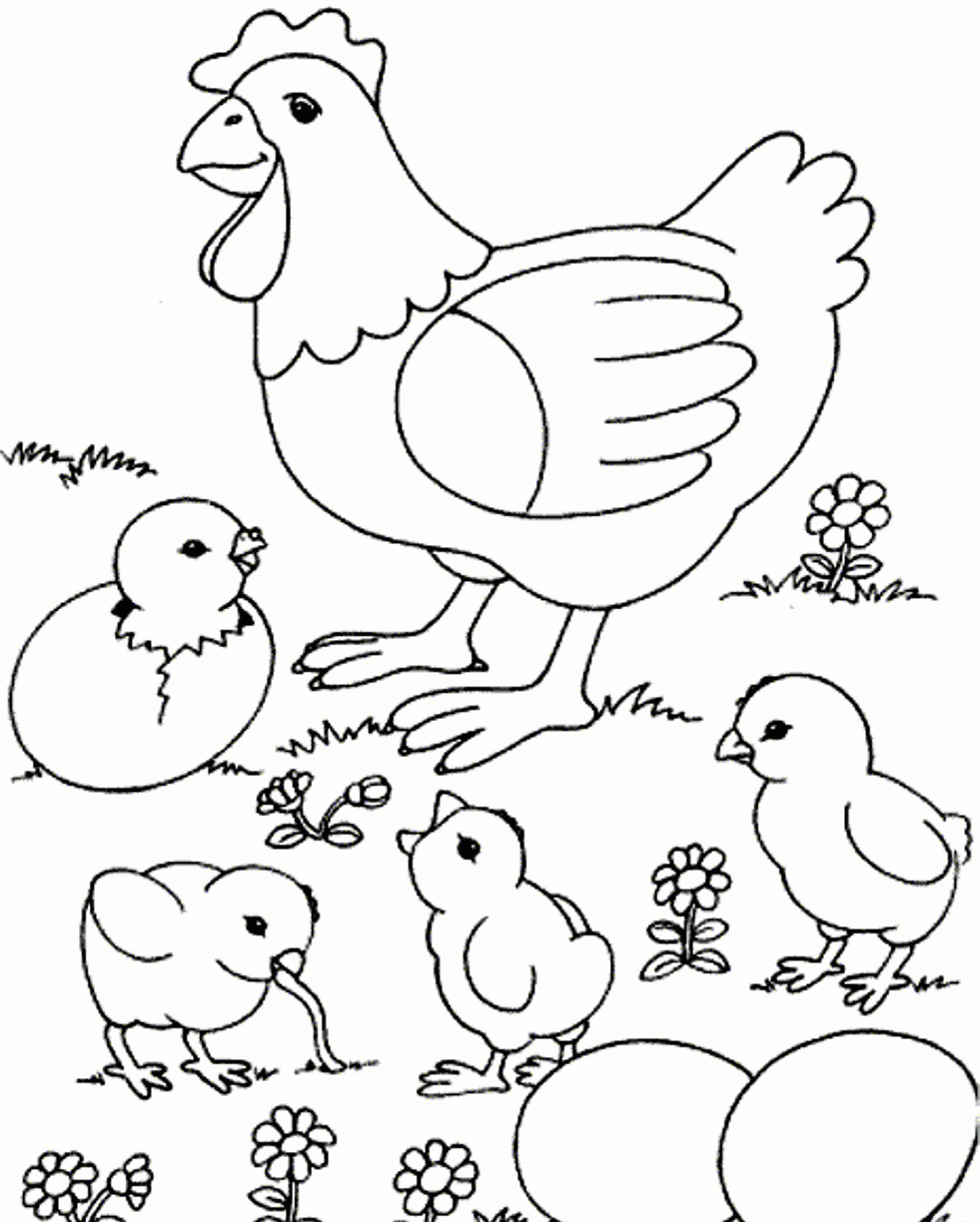 Chick Drawing at GetDrawings | Free download