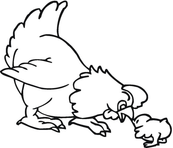 580x497 Little Chick And Hen Farm Animal Coloring Pages Coloring Pages