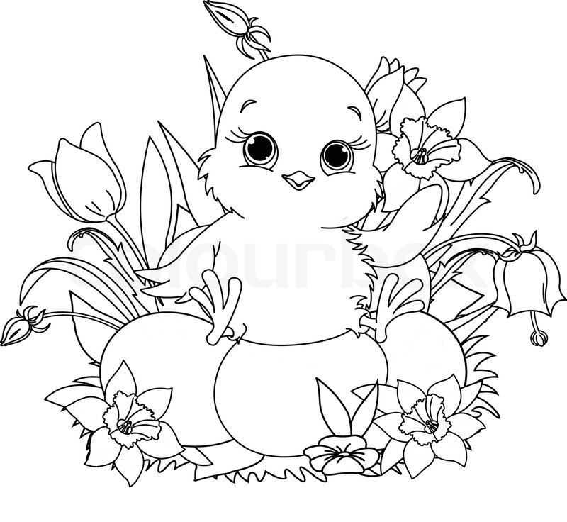 800x736 Newborn Chick Sitting On Easter Eggs Coloring Page Stock