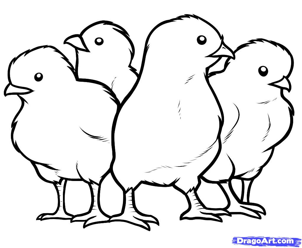 1022x840 Printable Pictures Of Baby Chicks How To Draw Chicks, Chicks