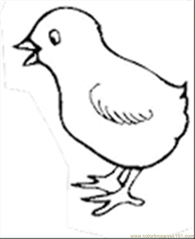 650x799 Chick Coloring Page Free Download