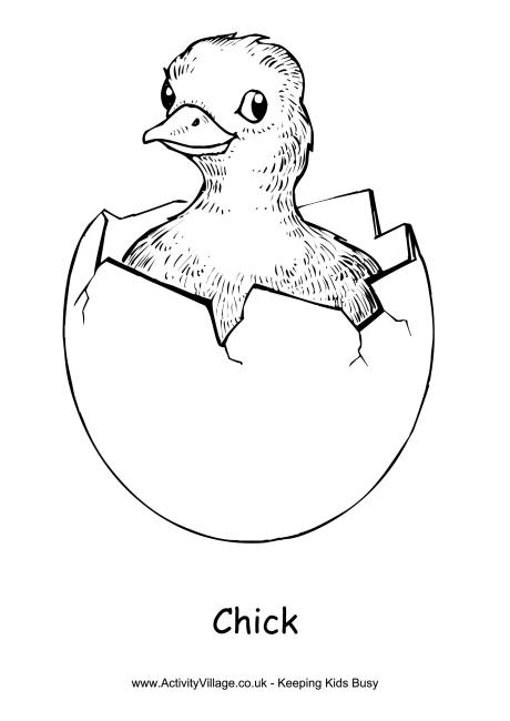 460x650 Chick Colouring Pages