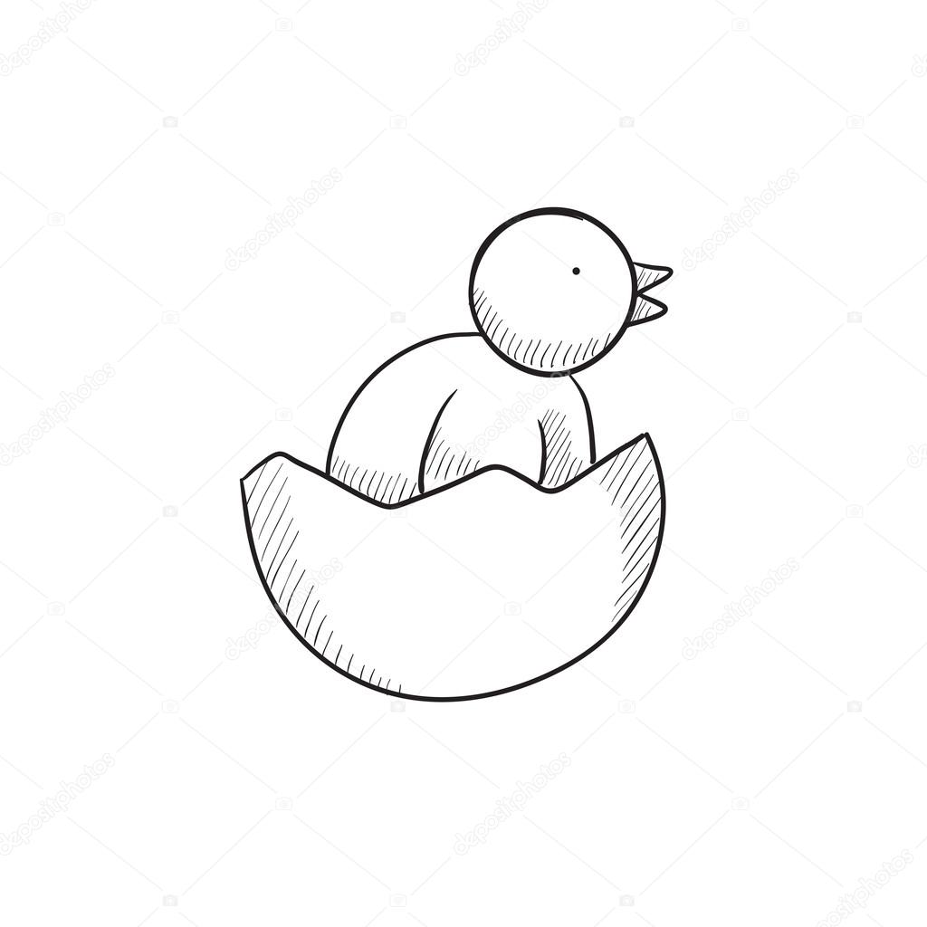 1024x1024 Chick Peeking Out Of Egg Shell Sketch Icon. Stock Vector