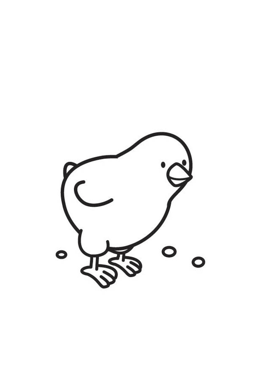 531x750 Coloring Page Chick