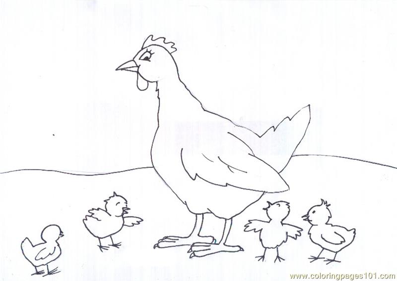 800x568 Drawing A Chick