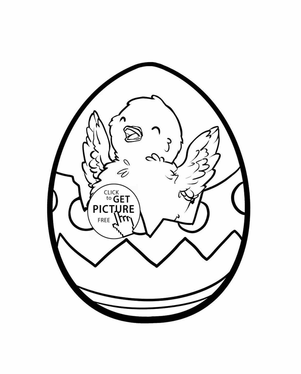 1169x1448 Easter Chick Drawing
