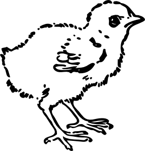 285x297 Baby Chick Clip Art