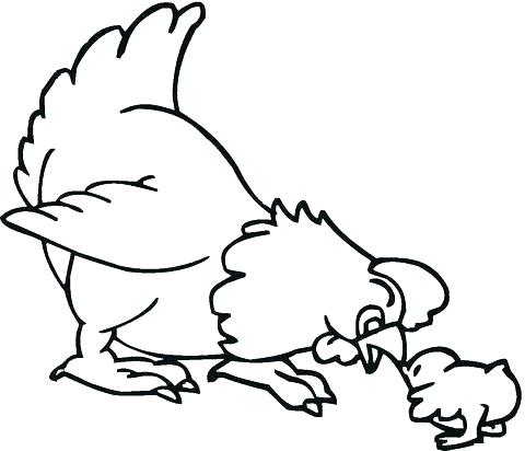 480x412 Chick Coloring Page