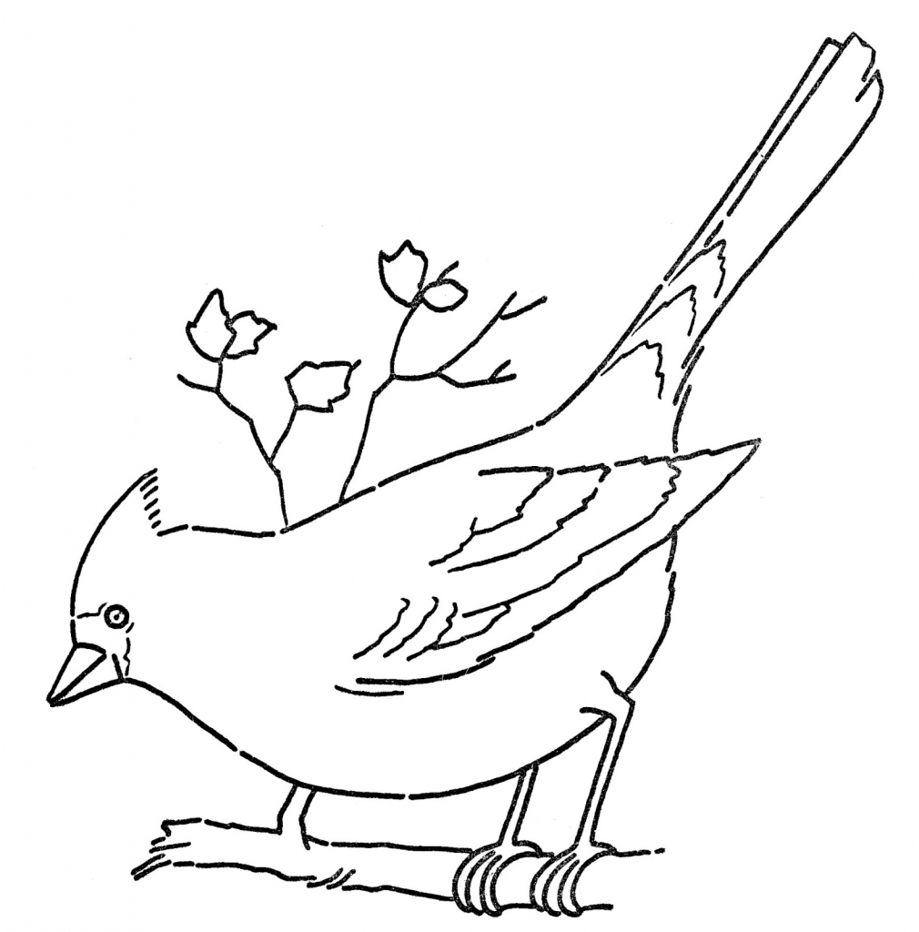 1010x1024 Line Drawing Of Birds Best Photos Of Line Drawings Of Birds