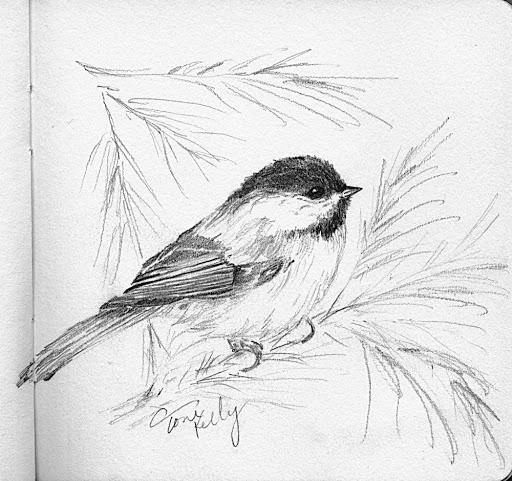 Chickadee Drawing at GetDrawings | Free download