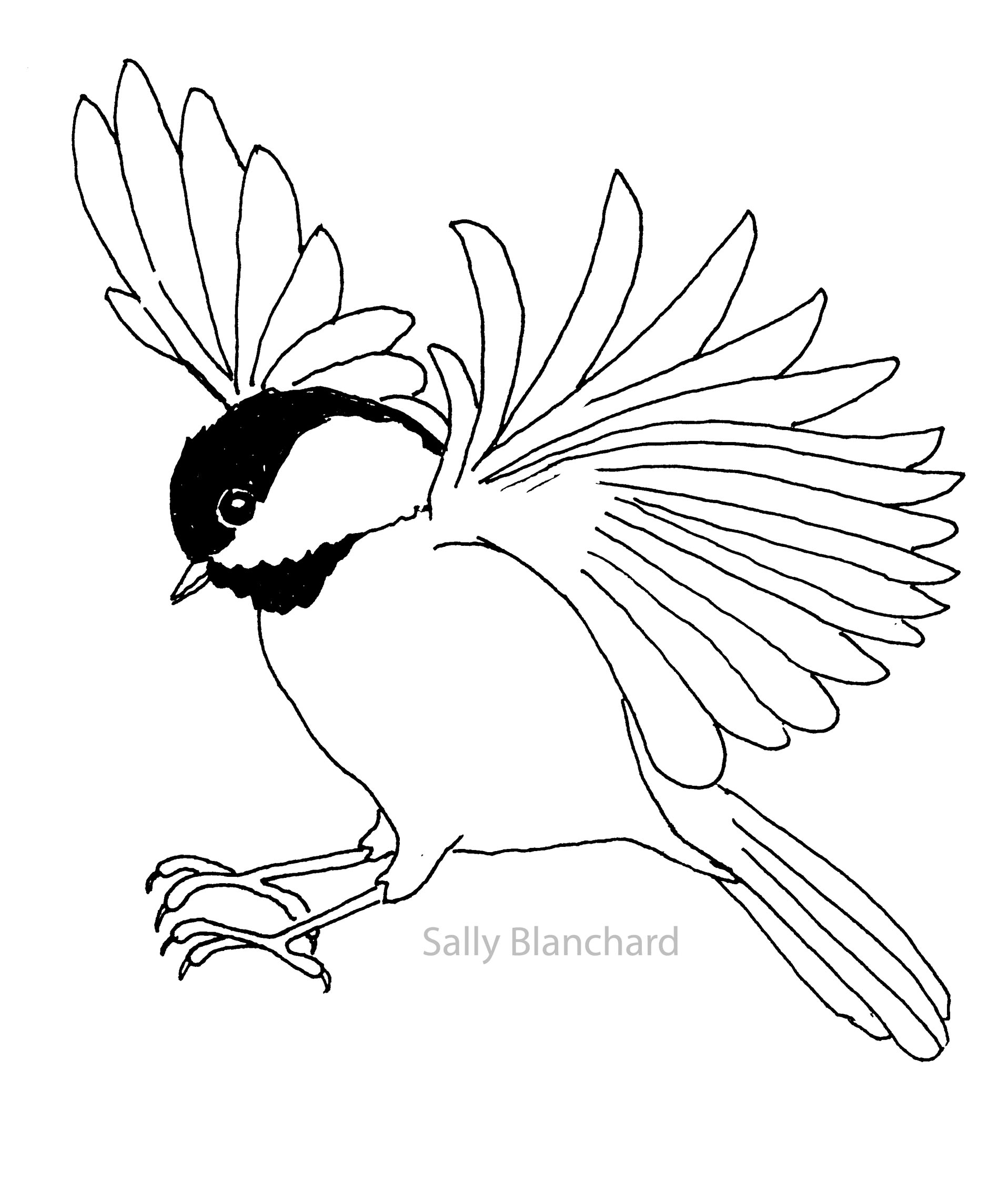 1916x2242 Sally Blanchard