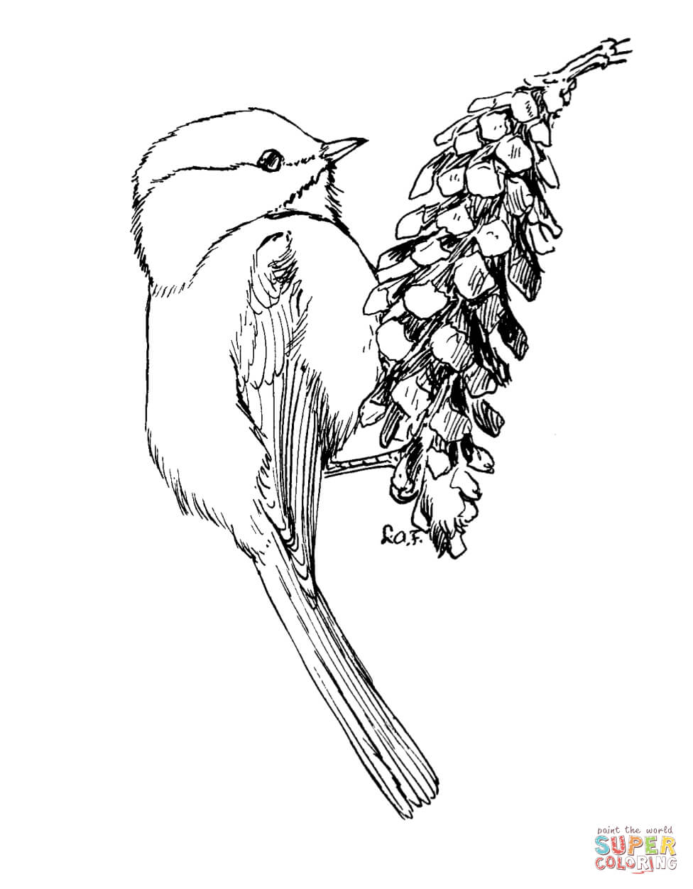 976x1252 Chickadee Coloring Pages Free Coloring Pages