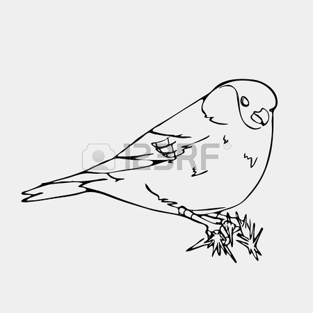 450x450 Hand Drawn Pencil Graphics, Bird, Lark, Oriole, Chickadee, Sparrow