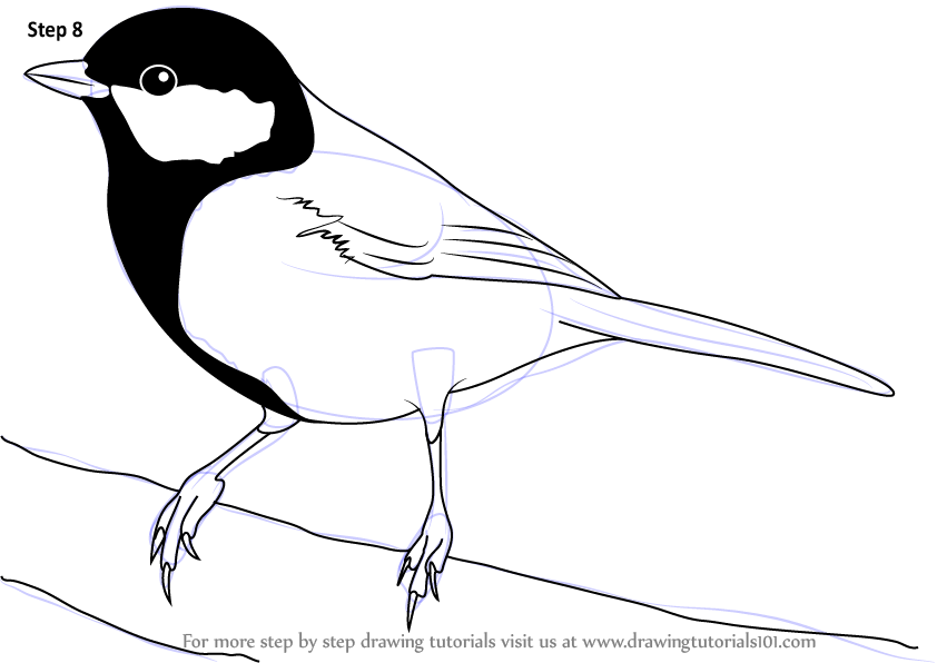 Chickadee Line Drawing at GetDrawings | Free download