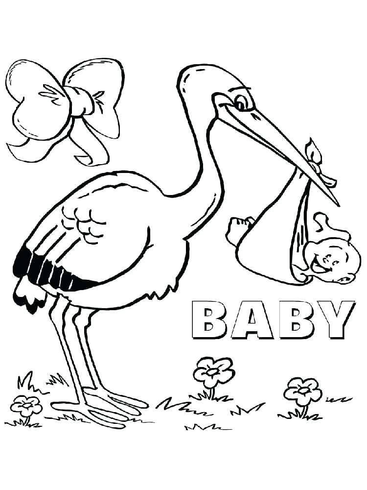 750x1000 Trend Stork Coloring Pages Image Chickadee Page Birds Free