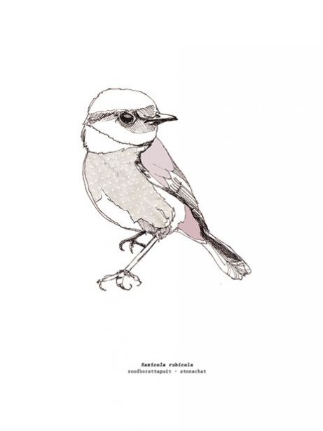 461x614 Birds Archives