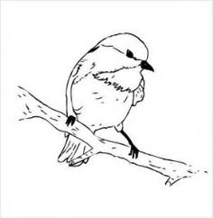 236x242 Chickadee Paintings