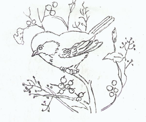 601x505 Chickadee Penny Nangle