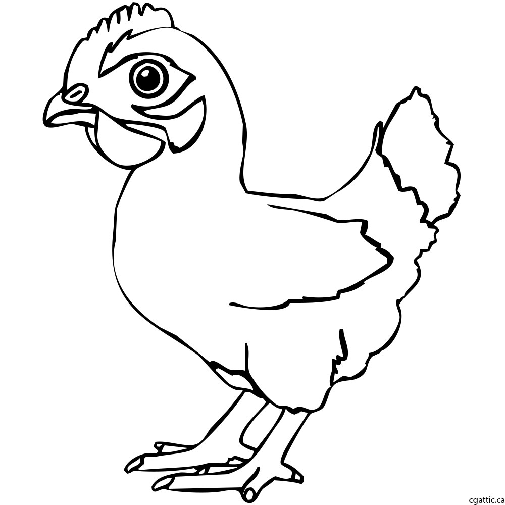 1000x1000 Chicken Cartoon Drawing In 4 Steps With Photoshop