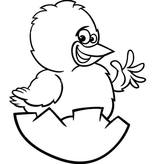 600x632 Easter Chicken Cartoon Coloring Page Best Place To Color