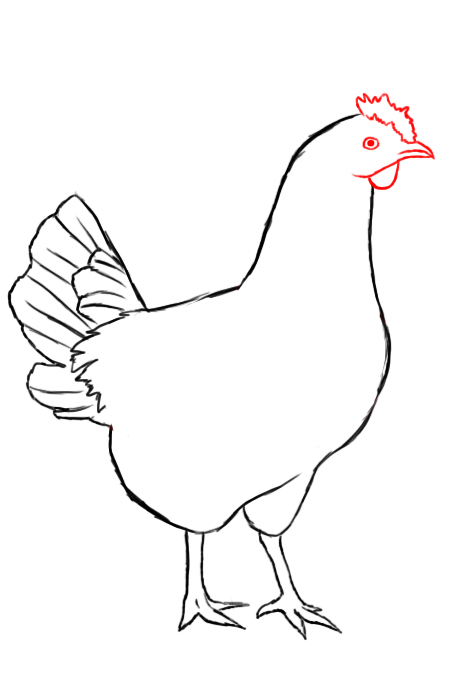 450x675 How To Draw A Chicken