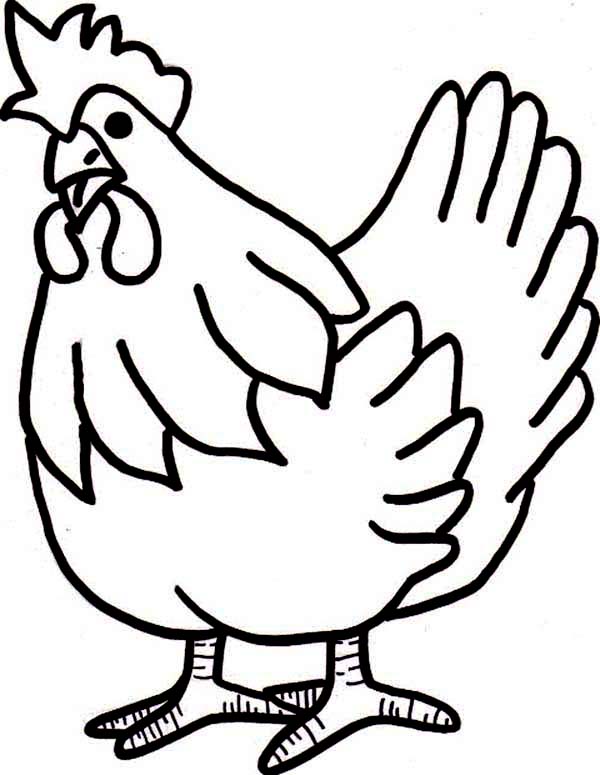 600x775 How To Draw Chicken Coloring Page Coloring Sun