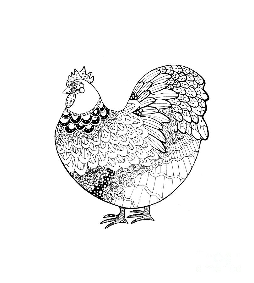 809x900 Zentangle Inspired Orpington Chicken Drawing By Sarah Rosedahl