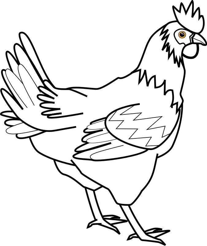 675x800 Cartoon Pictures Of A Chicken 545626