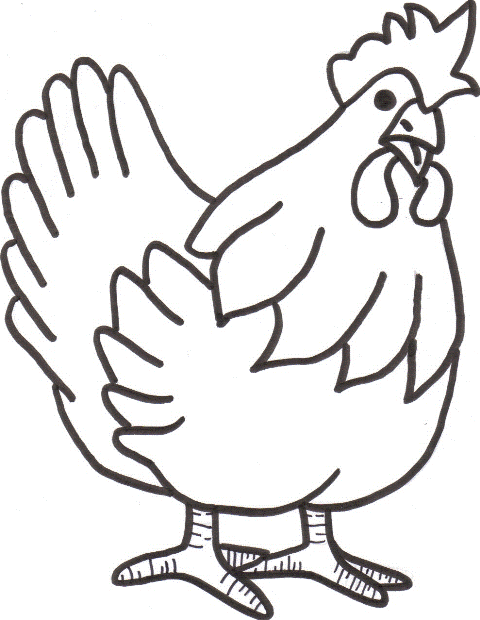 480x620 Chickens, Hens Roosters Coloring Pages, Chicken, Hen