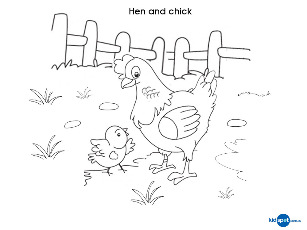 1000x750 Hen And Chicks Coloring Page