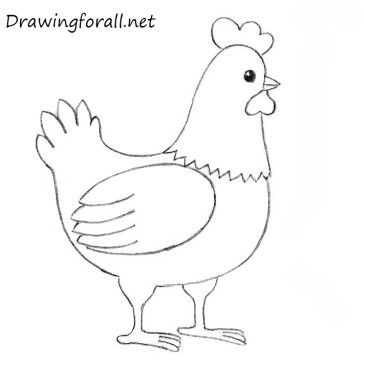 365x365 How To Draw A Chicken For Kids Fauxbonichi Journal
