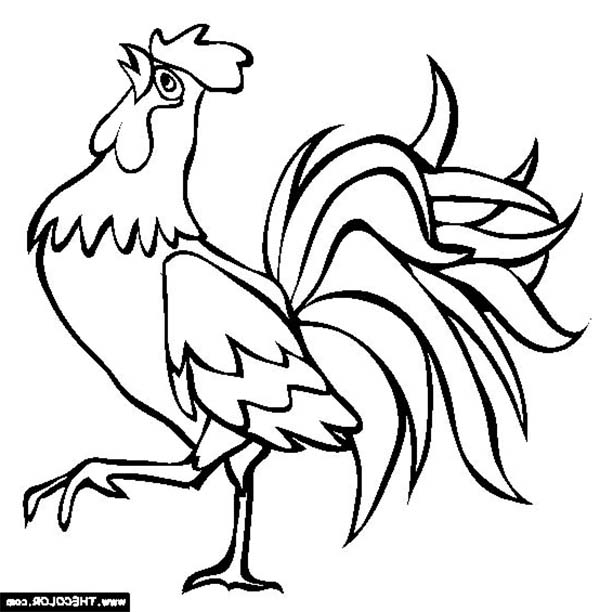 600x612 Rooster Clipart Coloring