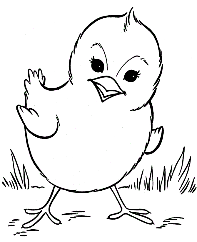 670x820 Printable Chicken Coloring Pages For Preschoolers