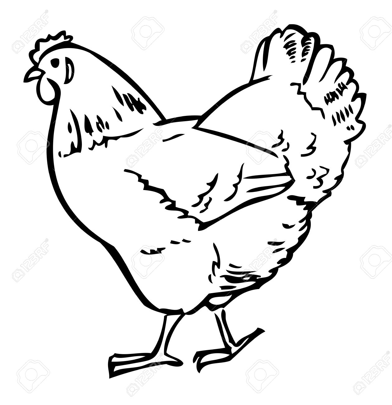 Chicken Drawing Images at GetDrawings | Free download