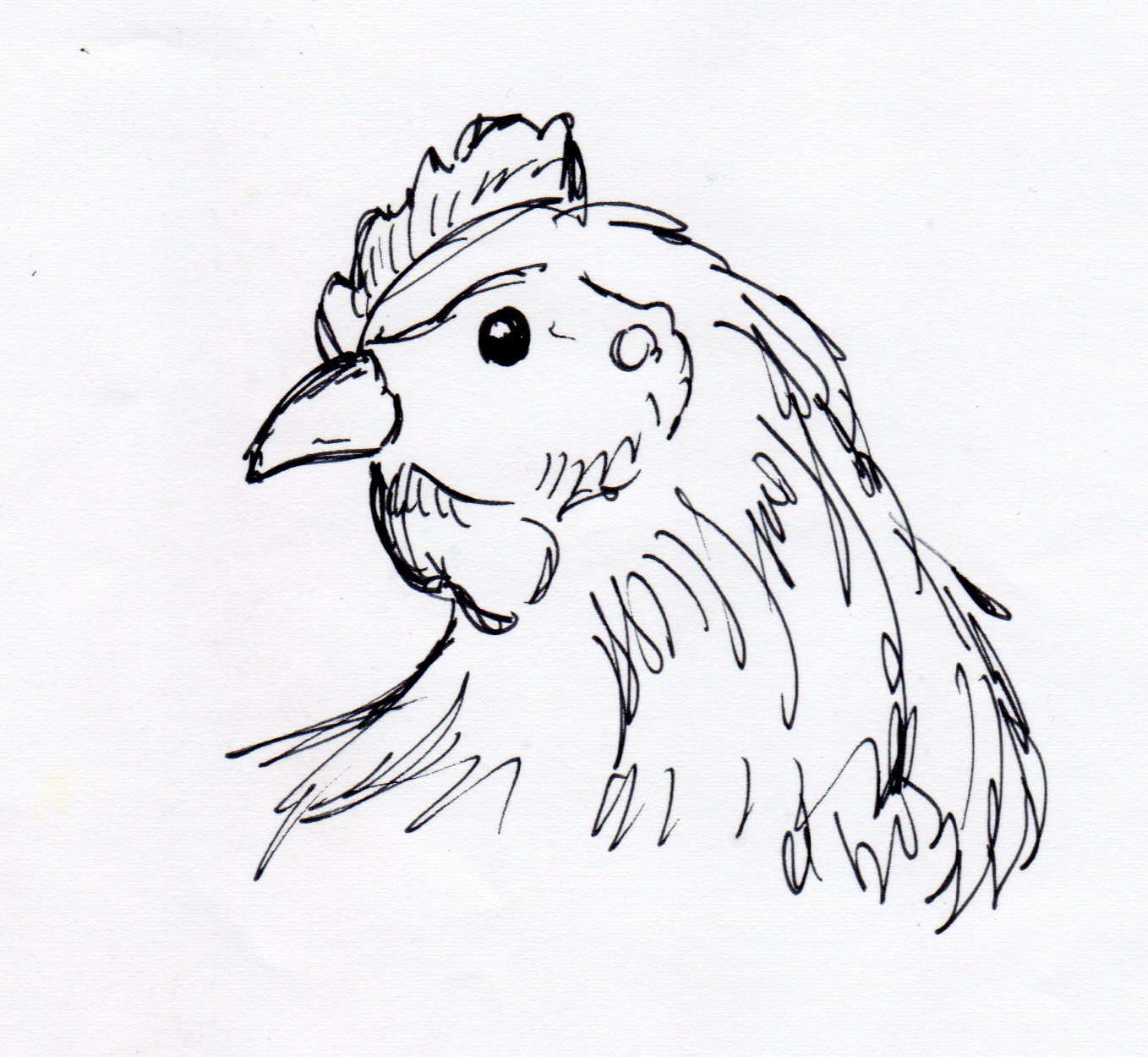 1358x1250 Drawing Of A Chicken