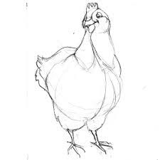 225x225 How To Draw A Chicken