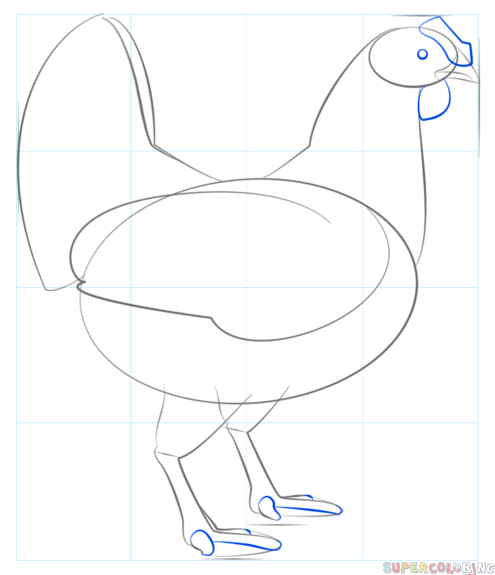 495x575 How To Draw A Chicken Step By Step Drawing Tutorials
