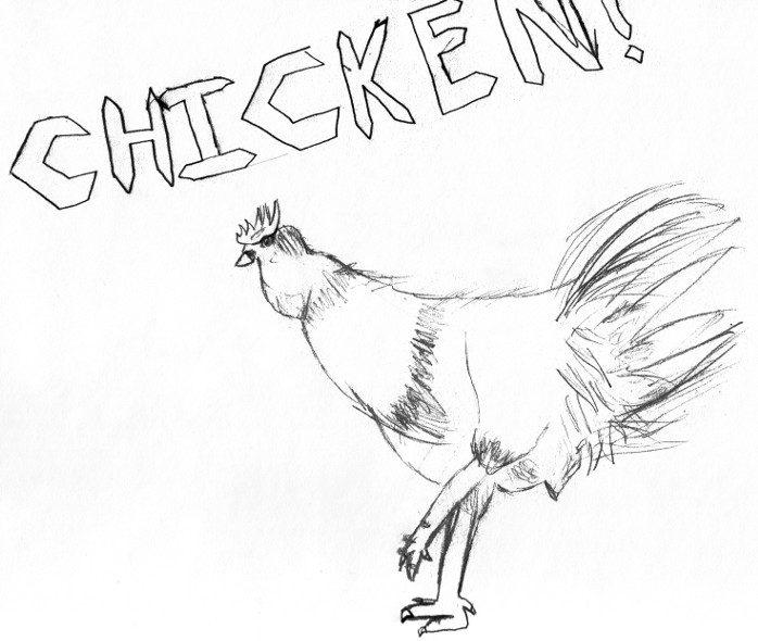 698x590 Chicken Sketch By Morerunes