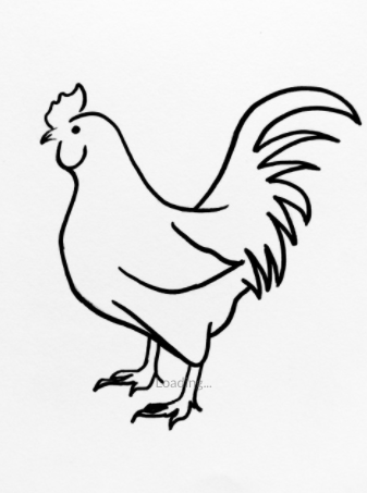 337x453 Chicken Sketch Radd Tees