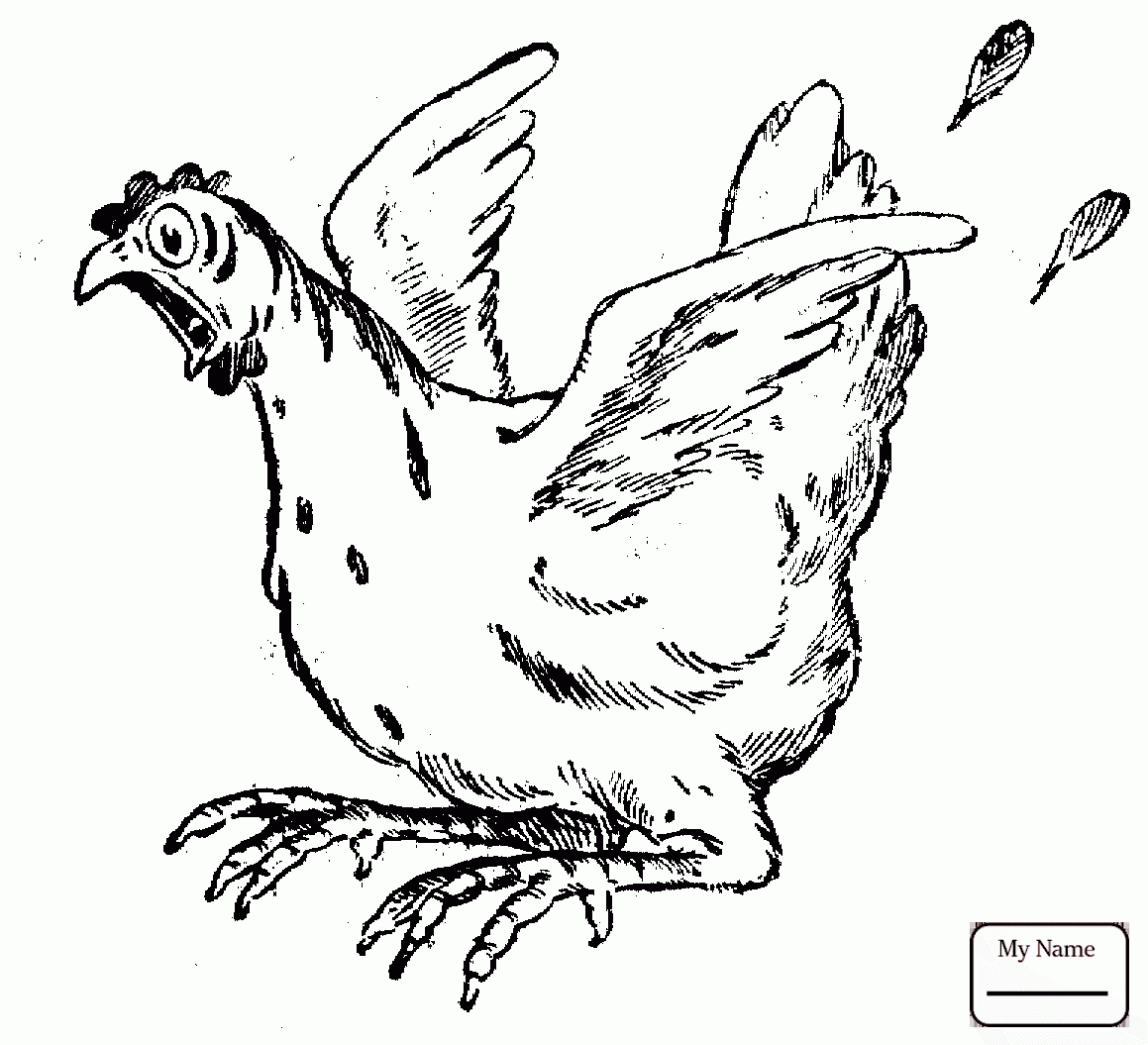 1159x1055 Chicken Outline Chicken Birds Chicken Coloring Pages For Kids
