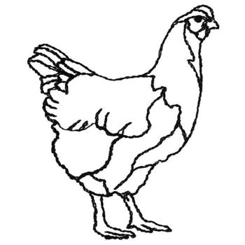 350x350 Hen Outline Embroidery Designs, Machine Embroidery Designs