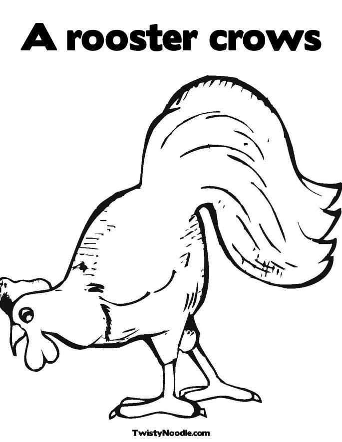 685x886 Chicken Outline
