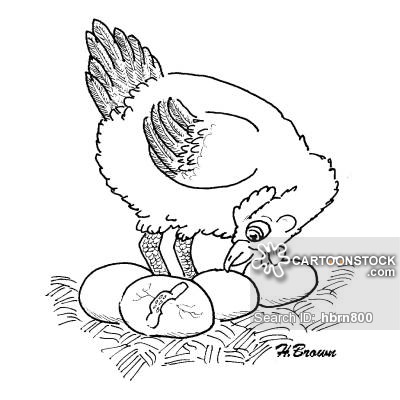 400x400 Hen House Cartoons And Comics