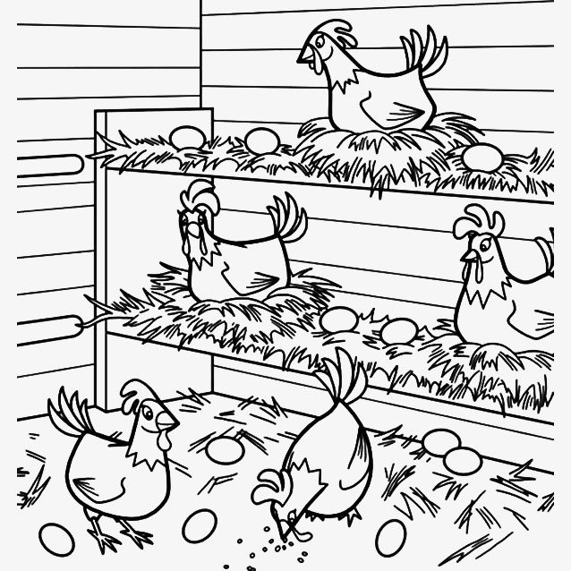 638x638 Stickfigure Coop, Cartoon Chicken Coop, Egg, Cartoon Hen Png Image