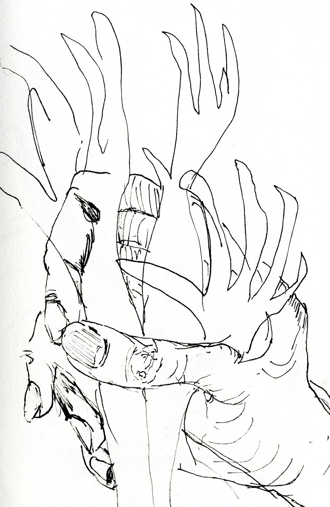 1053x1616 Dennis E. Thompson Microfiction Monday Magazine