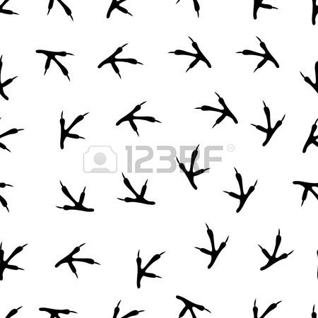450x450 869 Chicken Feet Stock Vector Illustration And Royalty Free