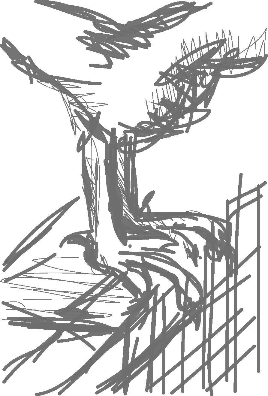 893x1319 Maplewood Farm