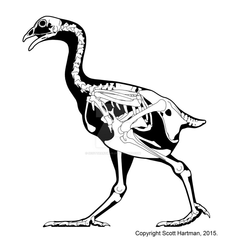 868x921 Tastes Like Chicken By Scotthartman